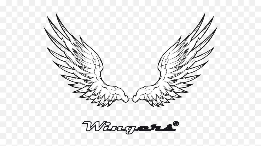 Wingers Logo Download - Logo Icon Png Svg Angel Wing Tattoo Png,Angel Wings Icon
