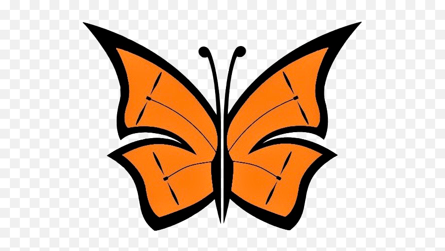 Home Inspection Services Monarch Drone Photography - Butterfly Wings Png,Colorful Butterfly Icon