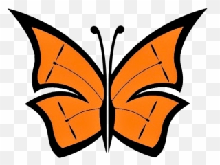 Home Inspection Services Monarch Drone Photography - Butterfly Wings png