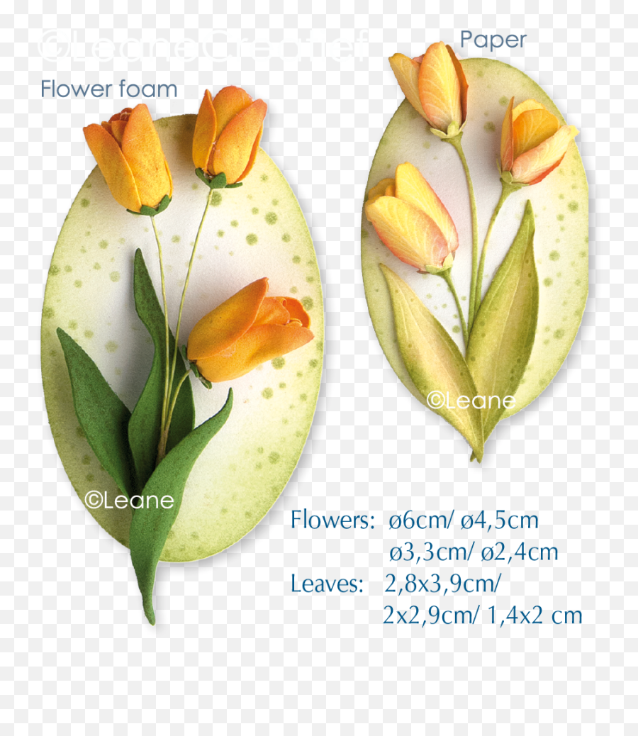 3d Flower Tulip - Knife Png,Tulip Transparent