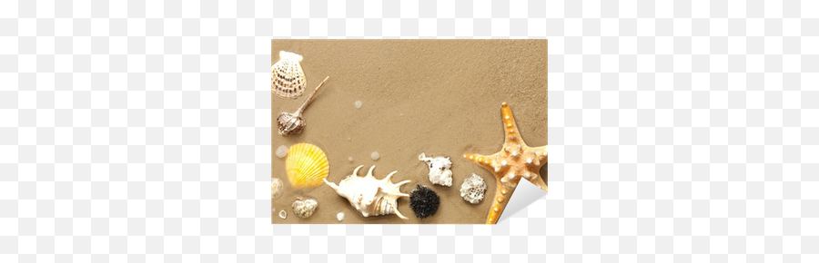 Sticker Shells And Starfish - Starfish Png,Starfish Small Icon