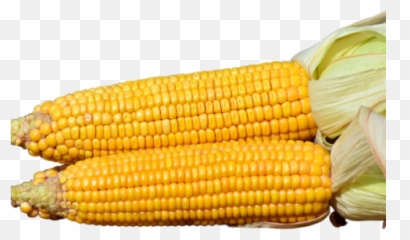 Transparent U2013 Hd Png Background Images Free Download - Superfood,Corn Icon Png