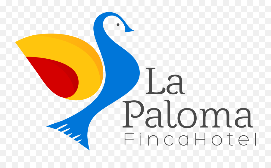 Paloma Blanca Png Transparent Image - Duck,Paloma Png