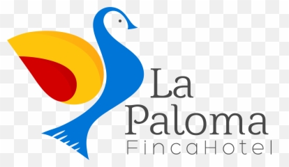 Paloma Blanca Png Transparent Image - Duck,Paloma Png
