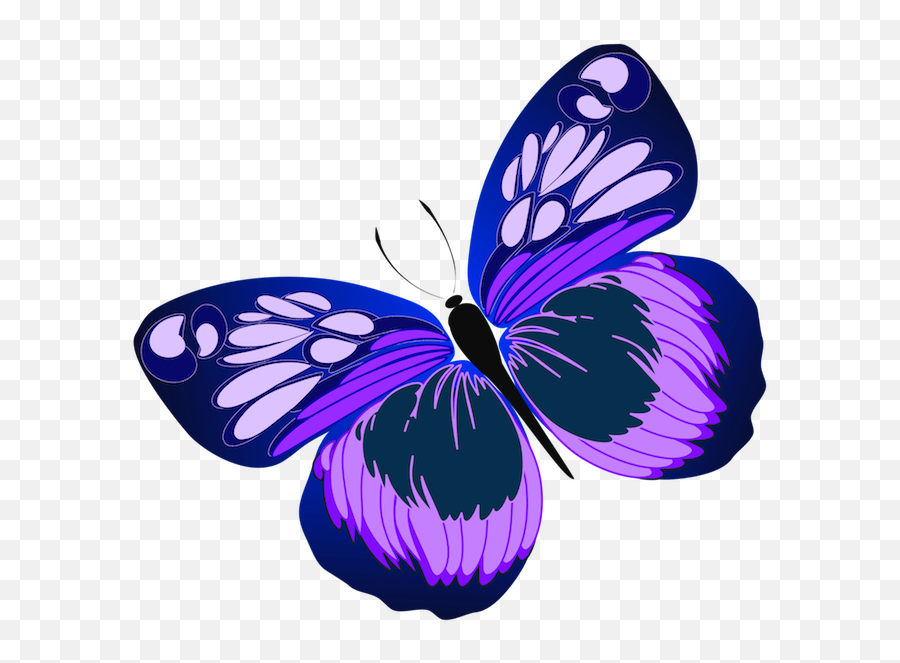 40 Ideen Und Tolle Bilder Zum Thema Schmetterling - Schmetterling Transparent Lila Png,Butterfly Tattoo Png
