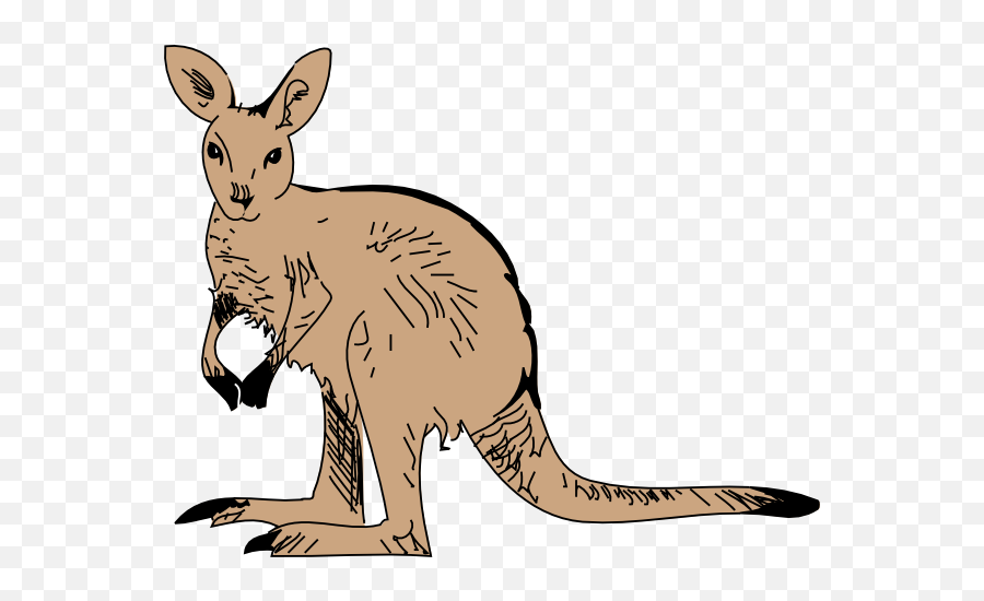 Kangaroo Png Transparent Clipart - Kangaroo Clip Art,Kangaroo Transparent Background