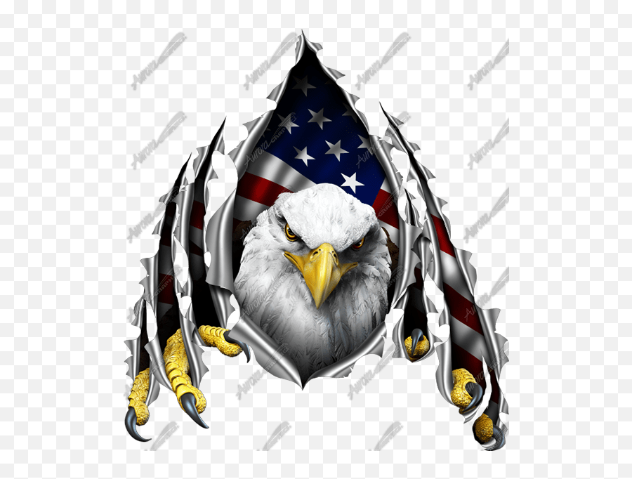 American Eagle Rip - Aurora Graphics American Flag With Eagle Drawing Png,Bald Eagle Transparent