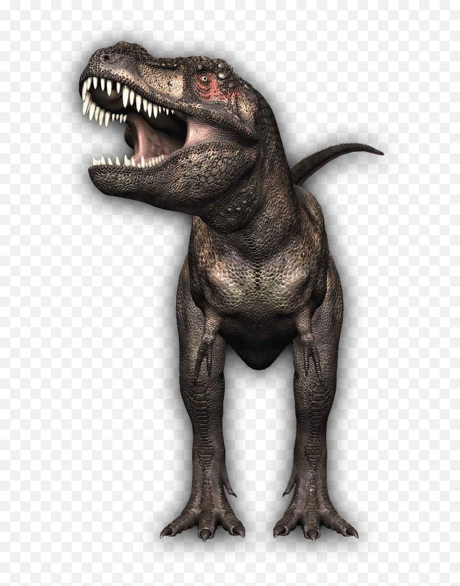 T - Rex Zombie Tools Png Transparent Zombie T Rex,Tyrannosaurus Rex Png