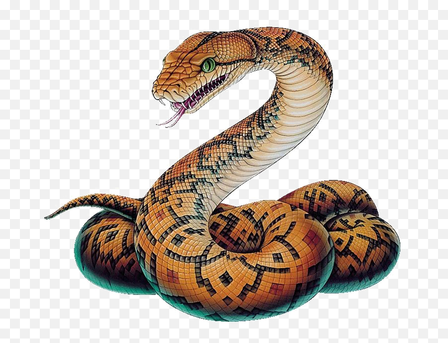 Snake Png Image Arts - Snake Png,Serpent Png