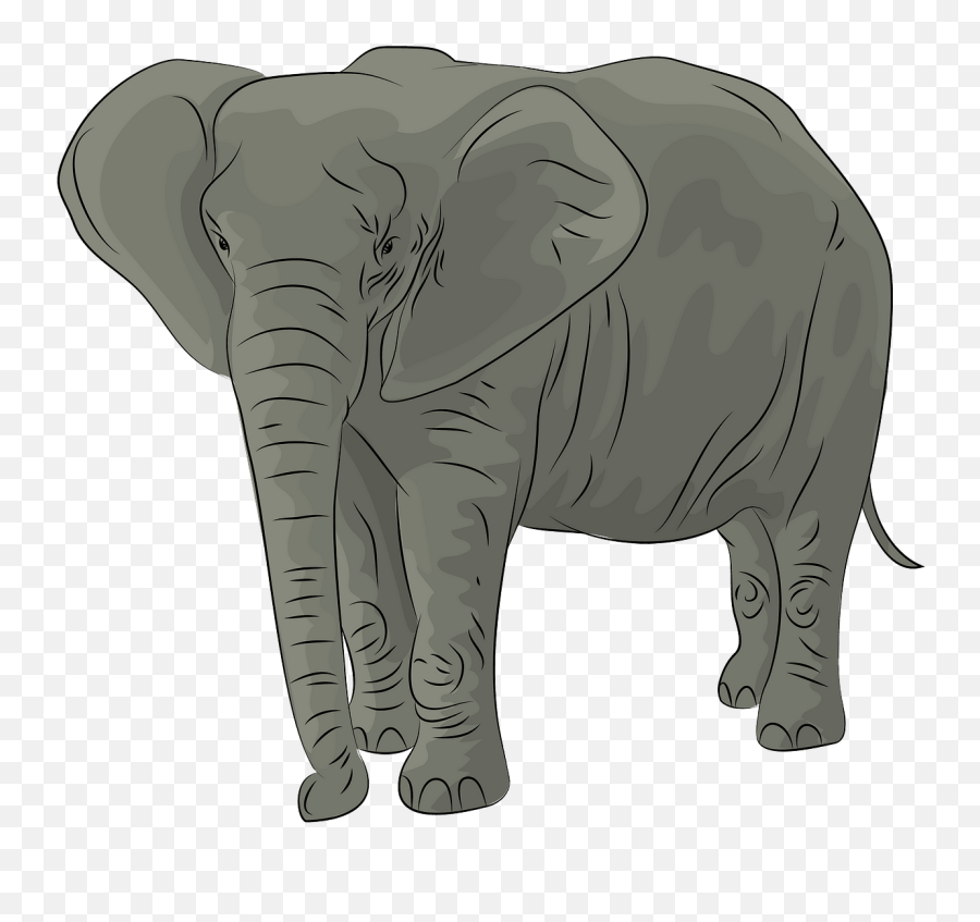 Elephant Banner Free Download Png Files - African Elephant Éléphant Clipart,Elephant Clipart Transparent