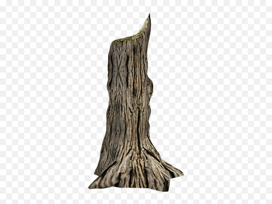 Tronco De Arbol Png Image - White Walnut,Arbol Png