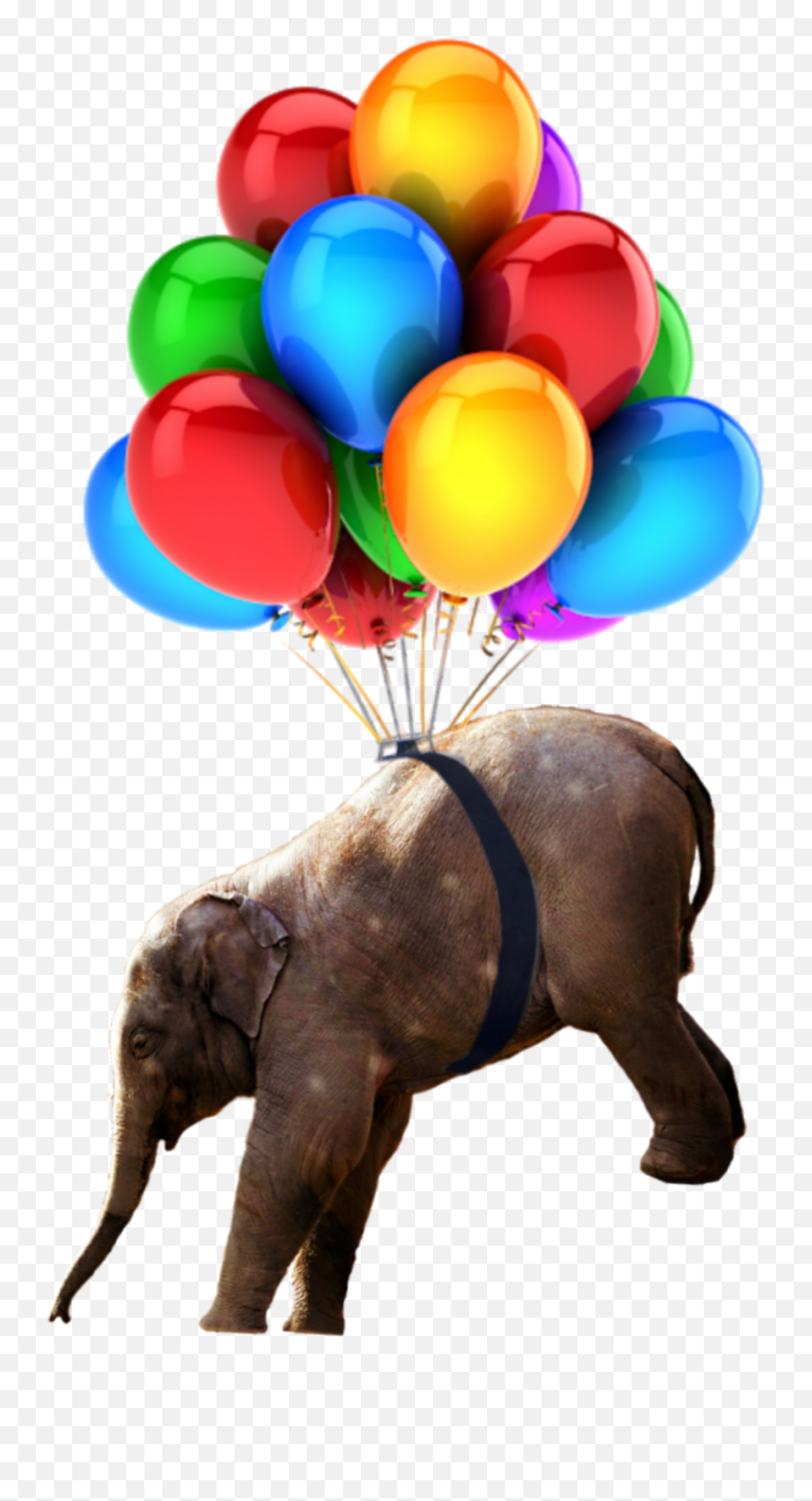 Babyelephant Nobackground Elephant Balloons Png - Balões De Festa Png,Baby Elephant Png