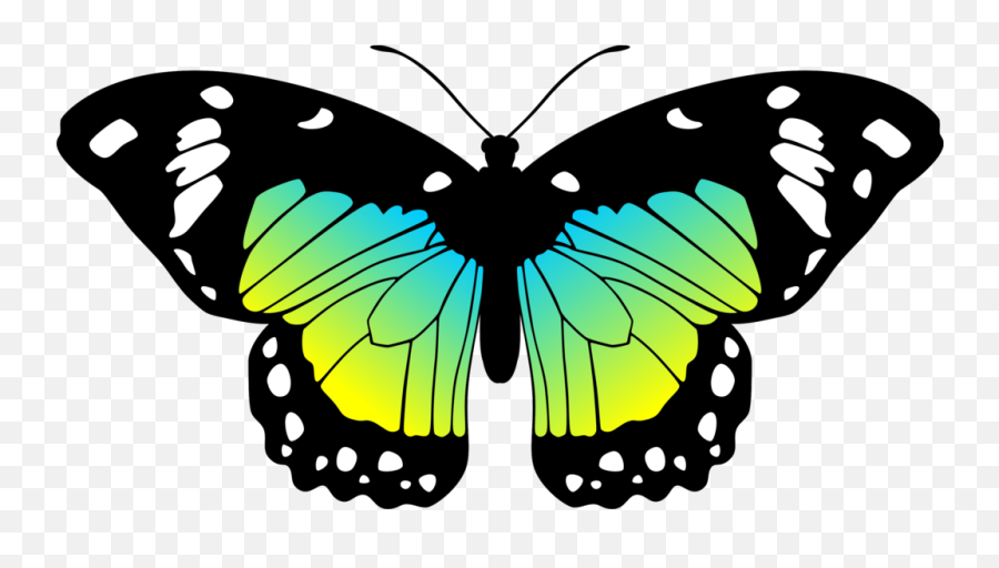 Download Hd Moves Clipart Real Butterfly Pencil And In Color - Green Blue And Yellow Butterfly Png,Yellow Butterfly Png