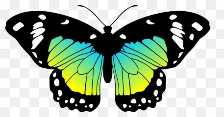 Download Hd Moves Clipart Real Butterfly Pencil And In Color - Green Blue And Yellow Butterfly Png,Yellow Butterfly Png