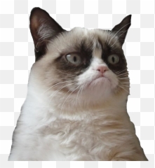 Grumpy Cat Face Png Picture Mart - Png