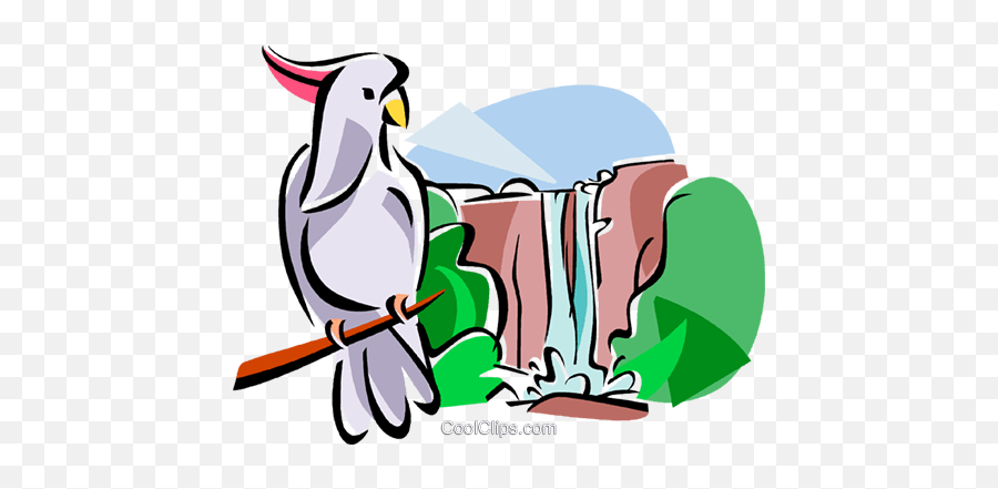 Australian Kakadu National Park Royalty Free Vector Clip Art - Clipart Png,Park Png