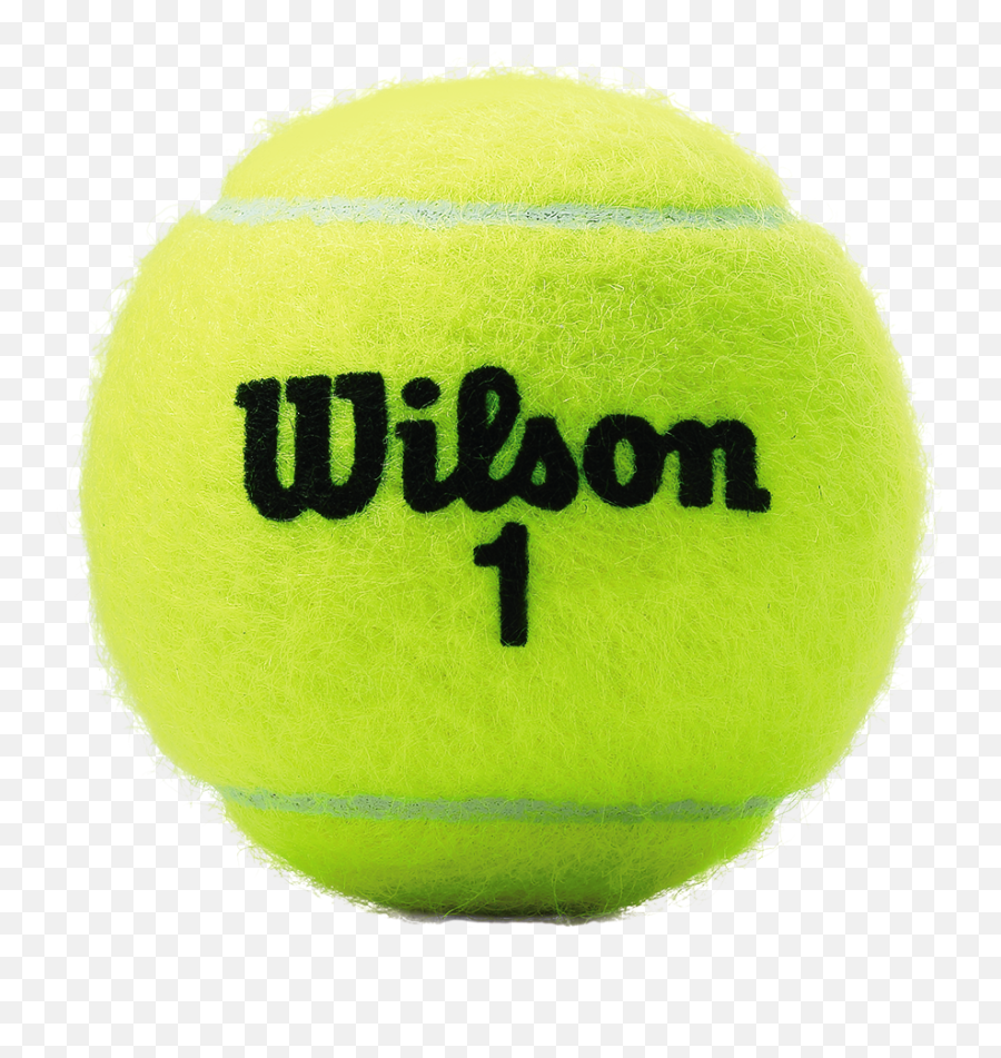 Wilson Championship Regular Duty Tennis - Wilson Tennis Balls Png,Tennis Balls Png