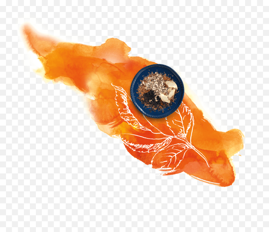 Download Hd Brewing Instructions - Goldfish Transparent Png Goldfish,Goldfish Transparent