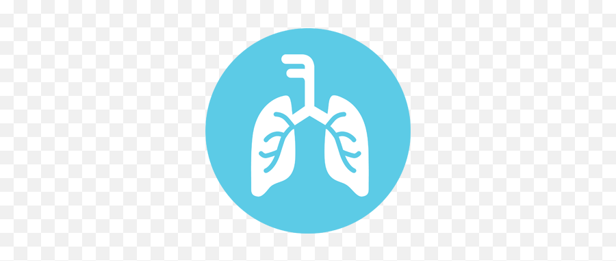 Filmarray Respiratory Panel - Language Png,Respiratory Icon
