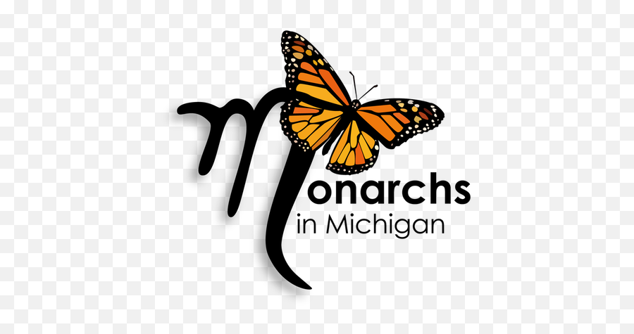 Logos - Monarch Butterfly Logo Png,Butterfly Logos
