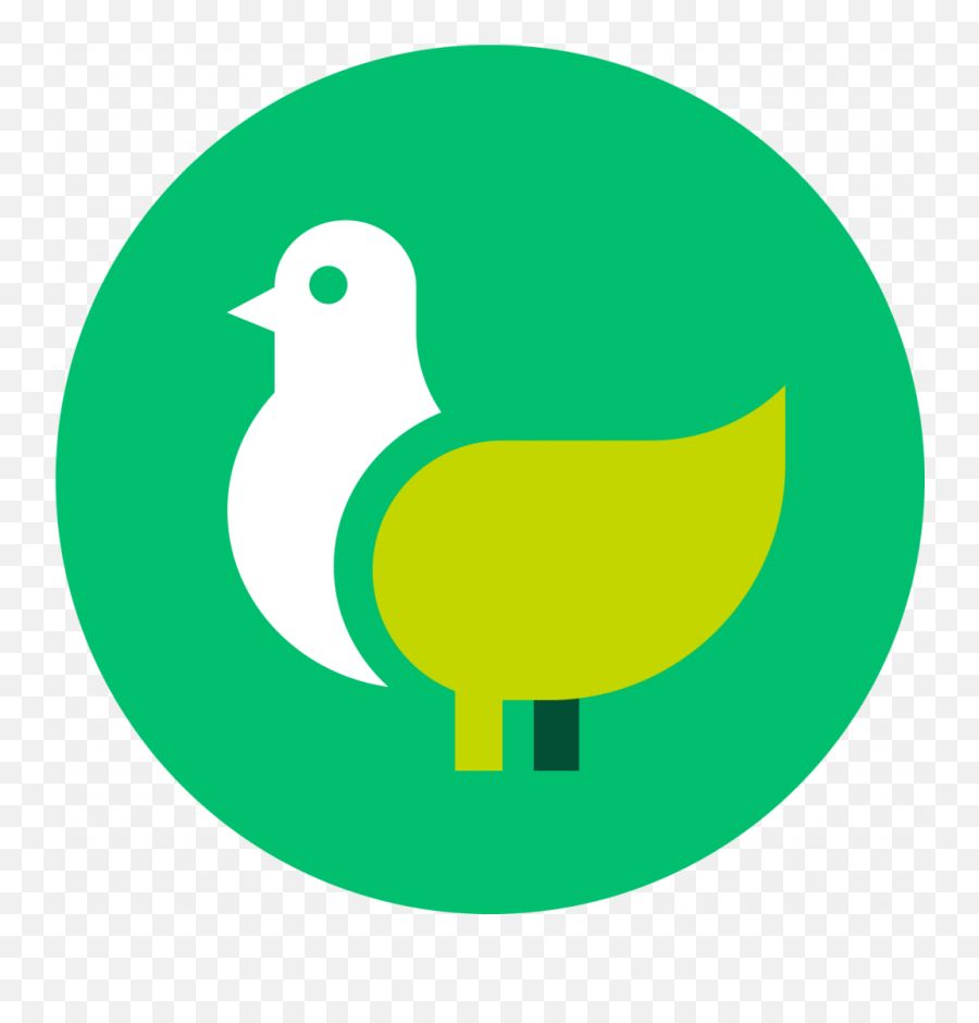 In Pursuit Of Higher Standards - Bird Png,Chicken Head Icon