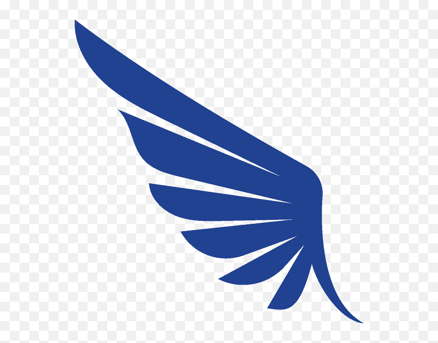 General 2 U2014 Daedalus Safety Group - Vector Graphics Png,Angel Wings Icon
