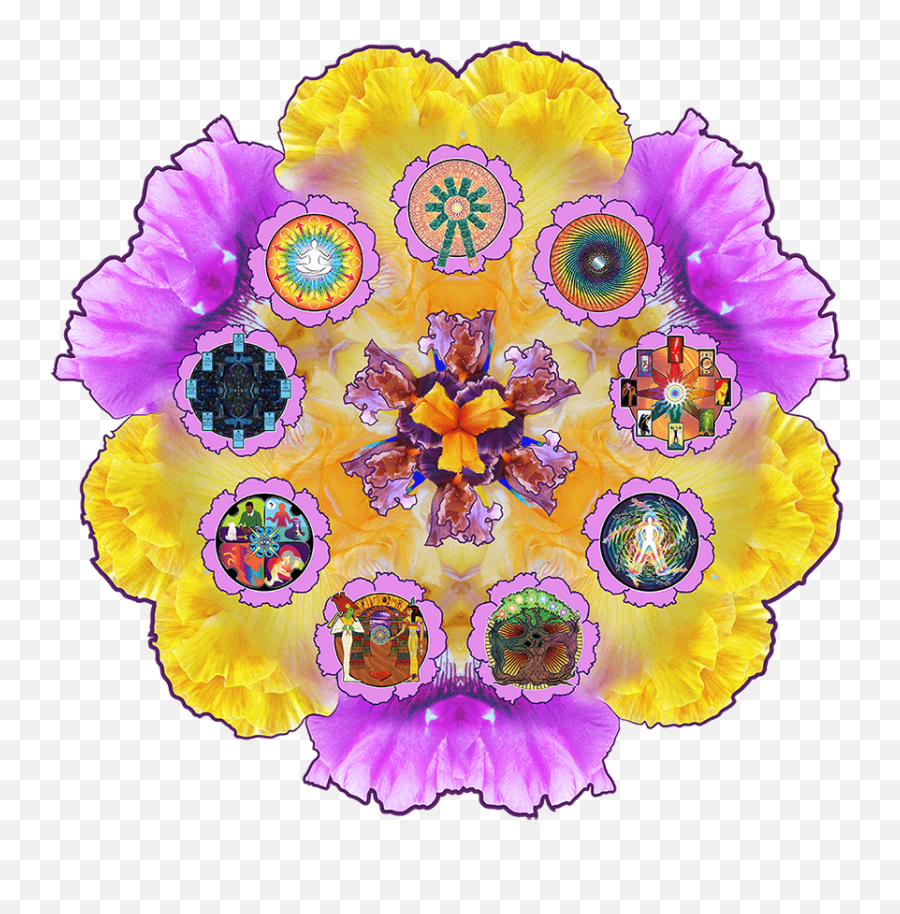Iris Colored Dreams Psychic Silhouetteu0027s Salon In Ashland - Decorative Png,Iris Flower Icon