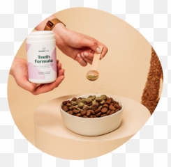 100 Natural Supplements For Dogs Vet Formulated Buddycare - Bowl Png,Dog Buddy Icon
