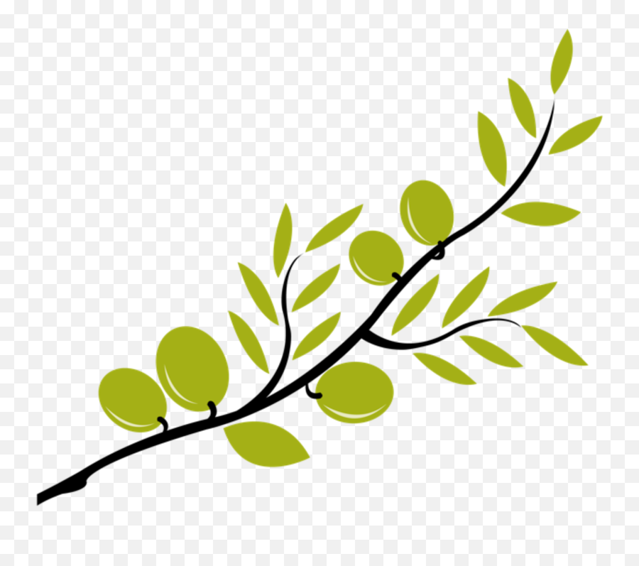 Clipart Leaf Olive Tree Transparent - Olive Oil Branch Clipart Png,Tree Branch Transparent Background