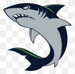 Vector Outline Shark Picture 2529315 - Drawing Shark png