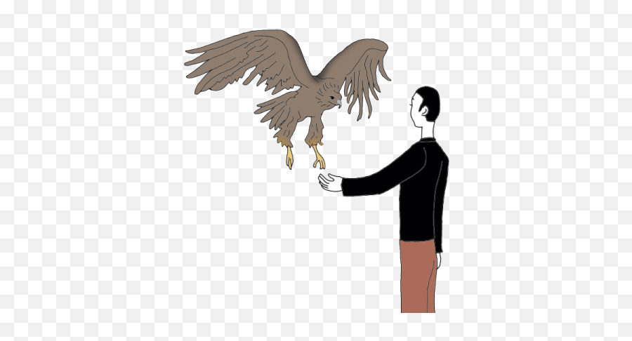 Golden Eagle Awaken Your Magick Powers - Auntyflocom Golden Eagle Png,Golden Eagle Png