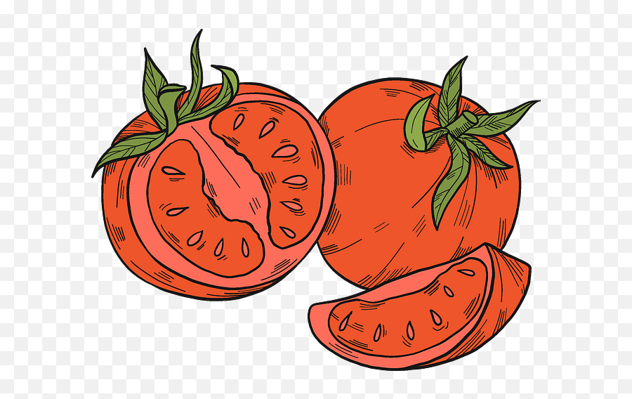 Vegetables Clipart Free Download In Png Or Vector Format - Clip Art,Tomato Slice Png