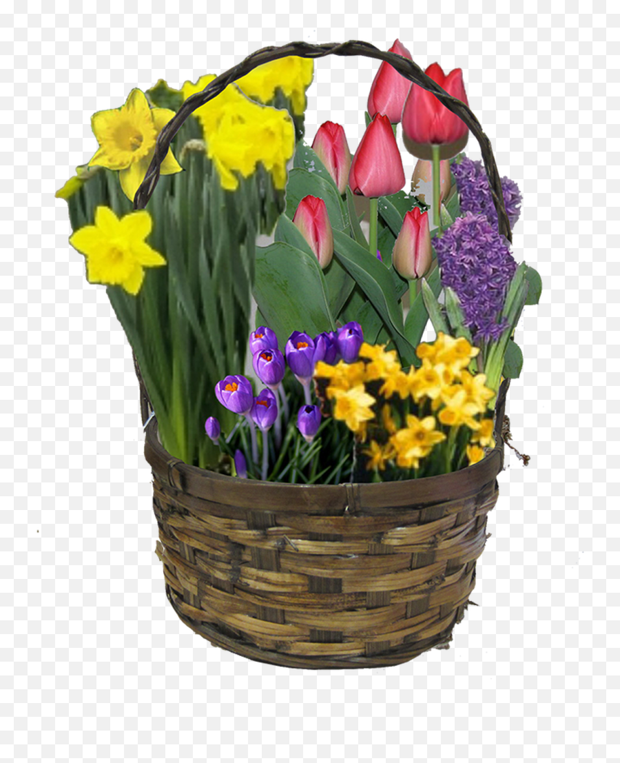Spring Bulb Garden Gift Basket Png Transparent