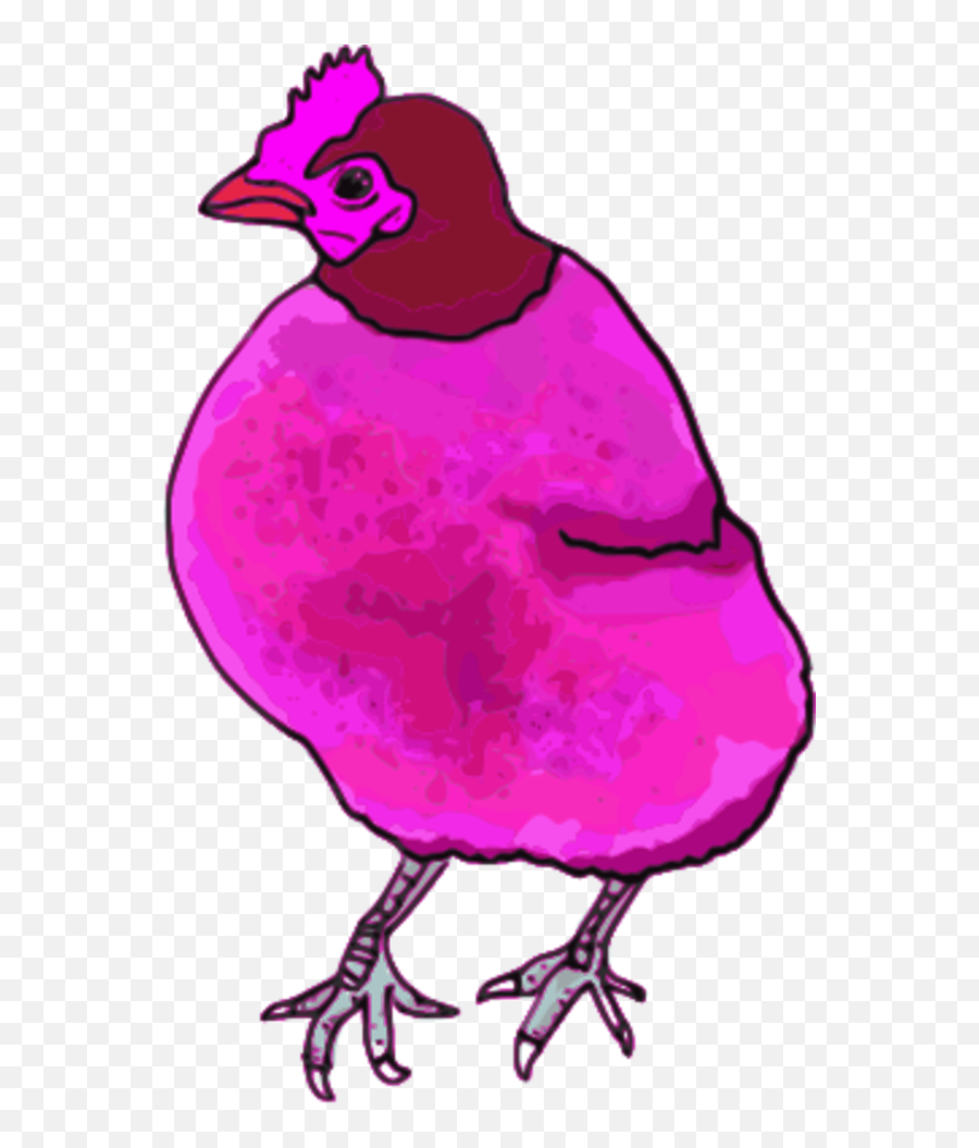 Vector Image Free Download Png Clipart - Pink Chicken Clipart,Chicken Clipart Png