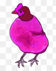Vector Image Free Download Png Clipart - Pink Chicken