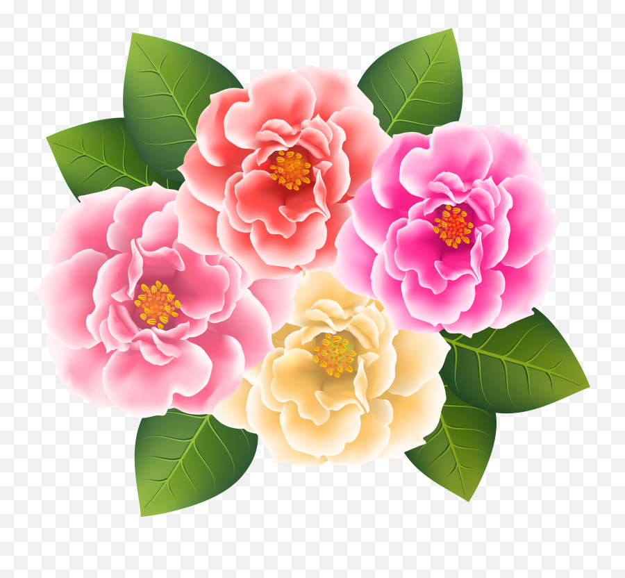 Download Hd Pink Rose Clipart Japanese - Transparent Clip Art Camellia Transparent Background Png,Pink Roses Png