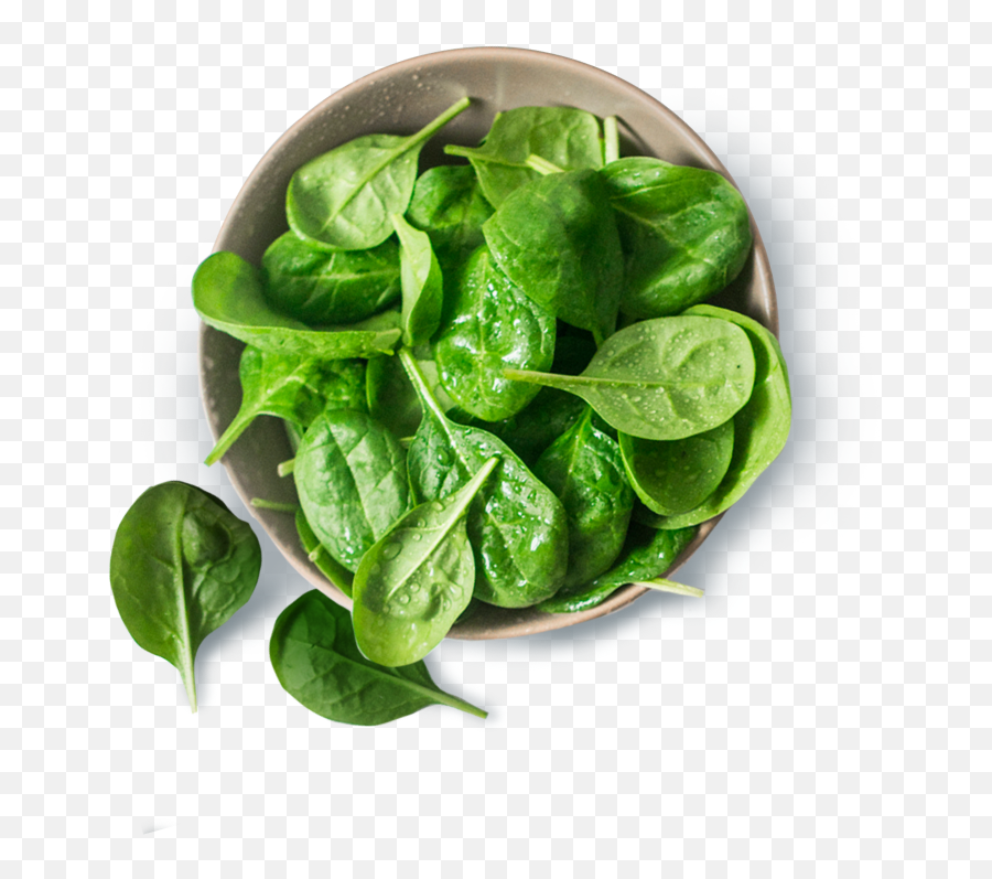 Download Spinach Png Image With No - Spinach,Spinach Png
