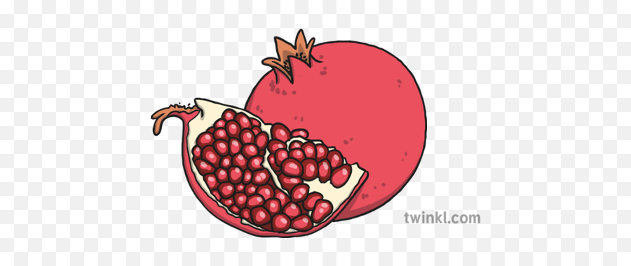 Pomegranate Illustration - Twinkl Illustration Png,Pomegranate Png