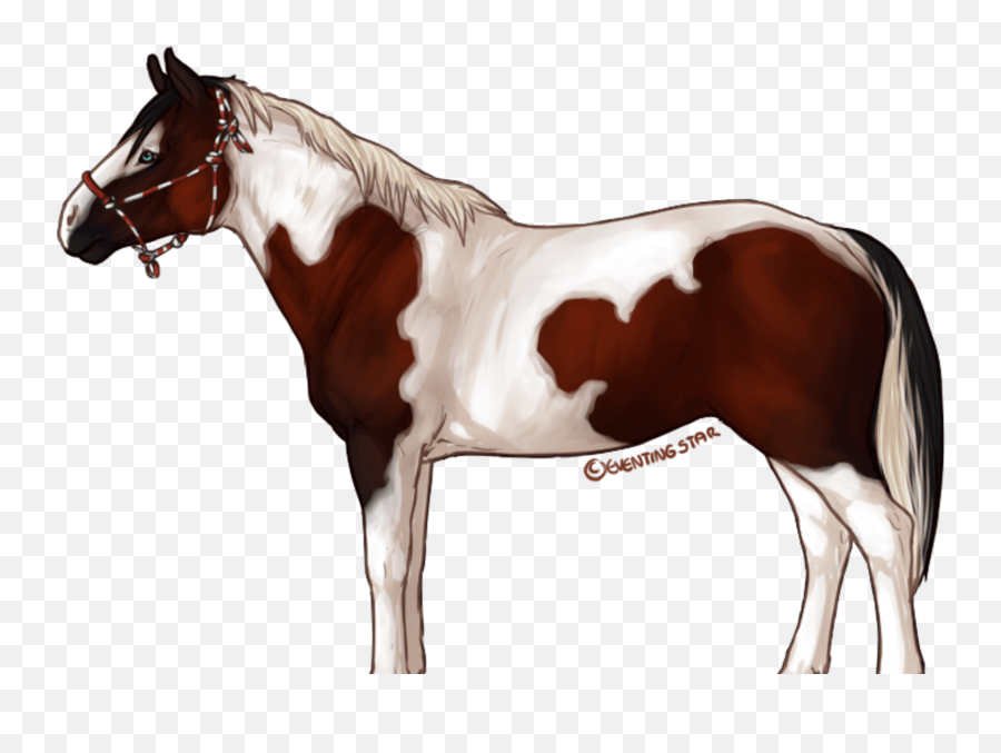 Eventingstar Horse Sim Game Indiegogo - Horse Star Stable Transparent Png,Horse Transparent