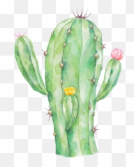 Download Radiation Proof Cactus Png Transparent - Watercolor With Background