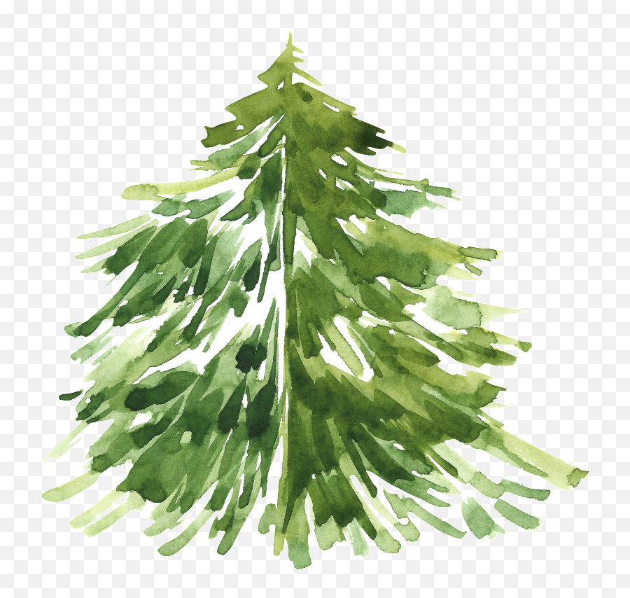 Download Hd Pintado Cartoon Christmas Tree Png Transparente - Christmas Tree Png Watercolor,Watercolor Tree Png