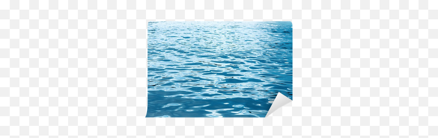 Water Surface Wall Mural Pixers We - Sea Png,Water Surface Png