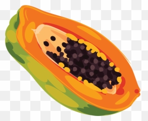Papaya Png - Clipart Image Of Papaya,Papaya Png