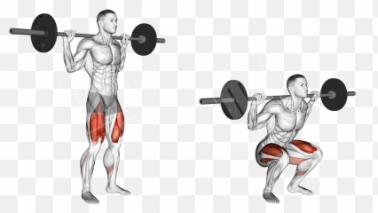 Barbell Squat Png
