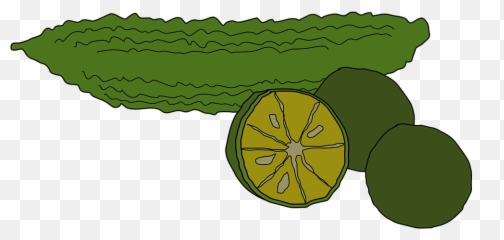 Bitter Food Png Transparent Foodpng Images Pluspng - Bitter Gourd Clipart,Cartoon Food Png