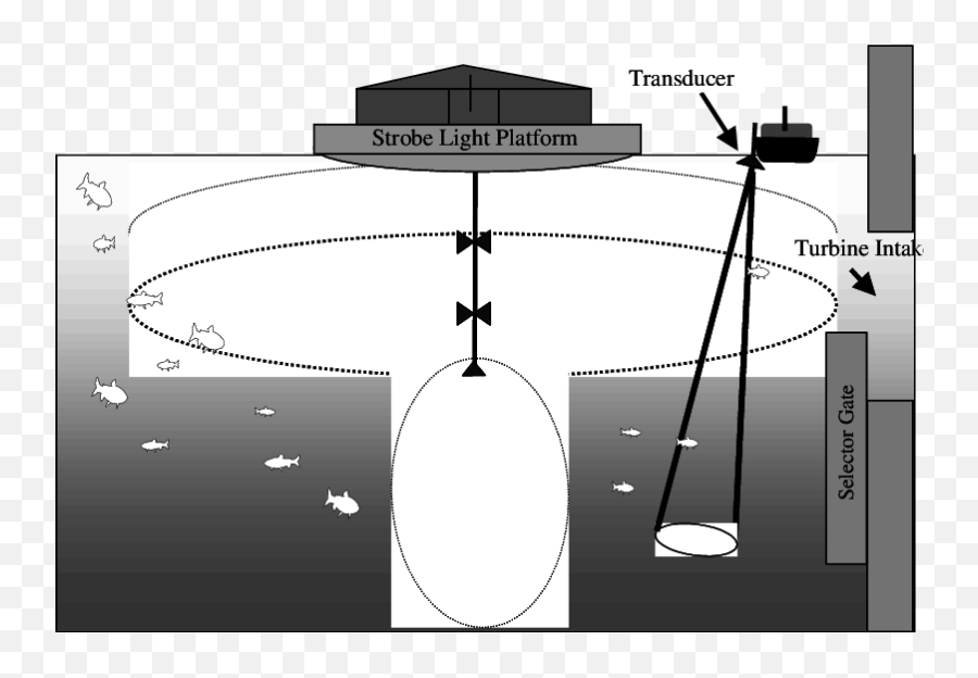 Diagram Of Strobe Light And Hydroacoustic Equipment Setup - Vertical Png,Strobe Light Png