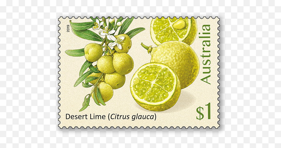 Bush Citrus - Australia Post Lemon Aspen Australian Stamps Png,Lime Transparent Background