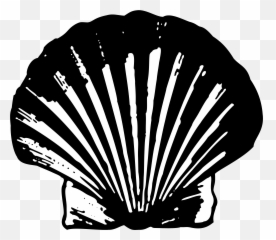 Download Hd Shell - Logo 1909 Transparent PNG Image