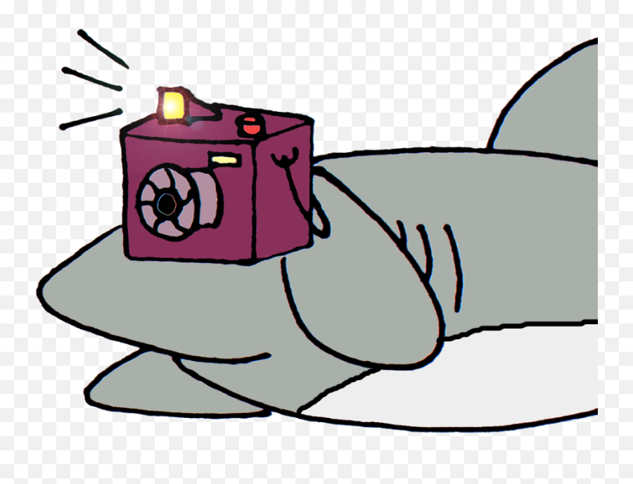 Download Shark With Camera Cartoon Png - Cartoon Shark With Camera,Camera Cartoon Png
