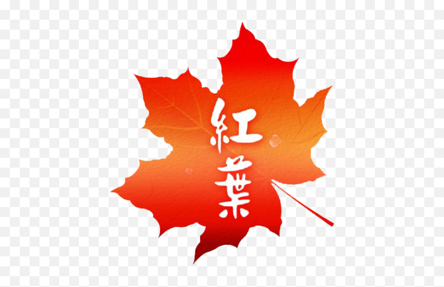 Logo Elsegraphics - Maple Leaf Png,Red Leaf Logo